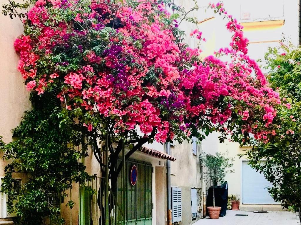 Apartament Le Caillou A La Ponche St Tropez Saint-Tropez Zewnętrze zdjęcie